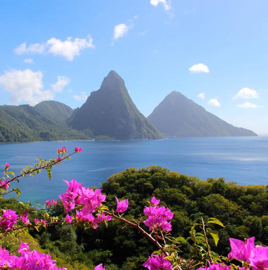 Caribbean