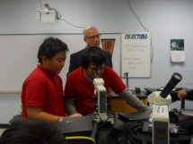 Lab