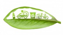 Sustainability Leaf