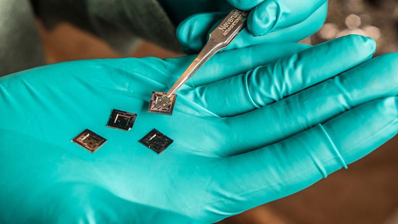 Carbon Nanotube