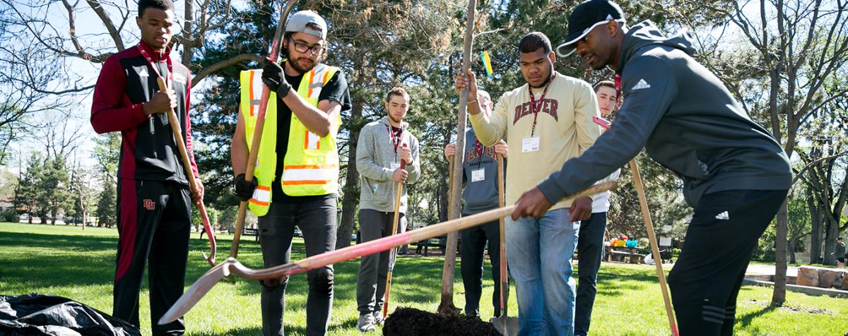 Students Volunteering in a park
