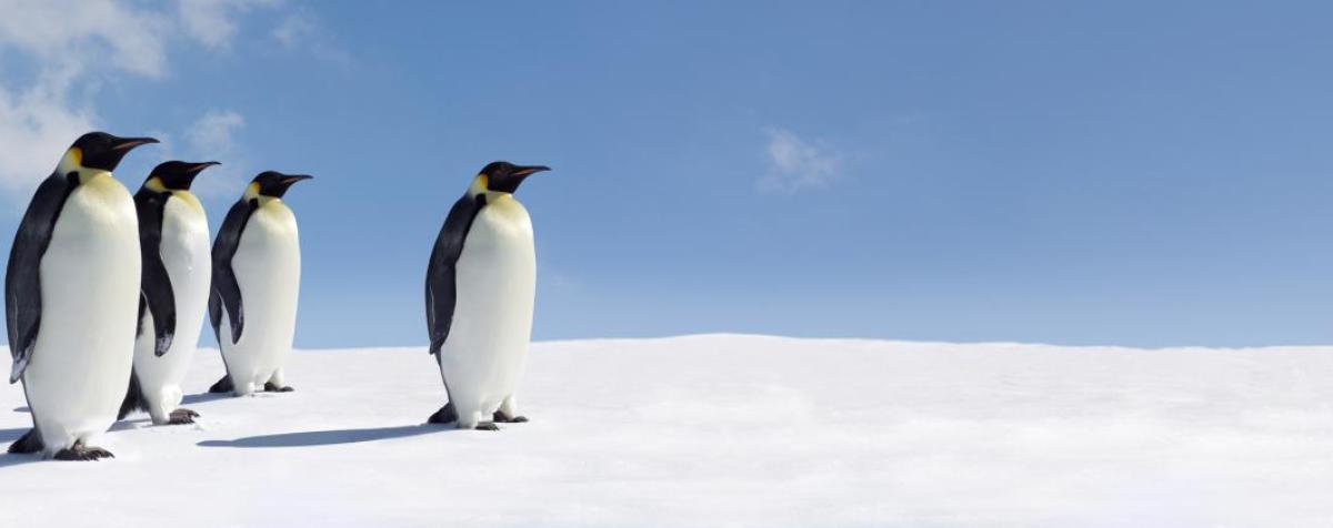 Antarctica