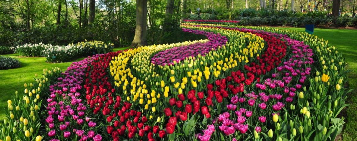 Holland