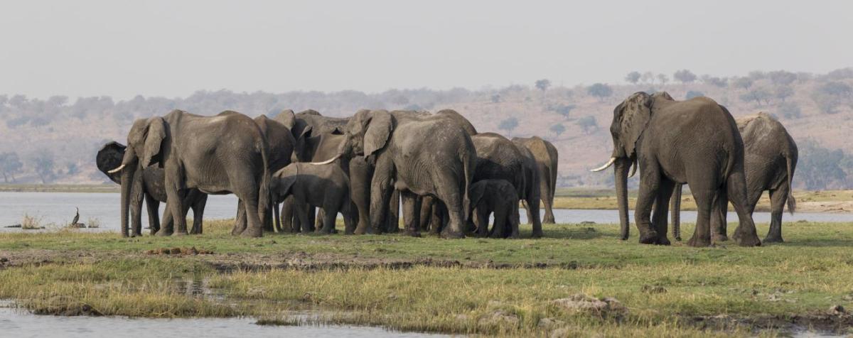 Southern Africa
