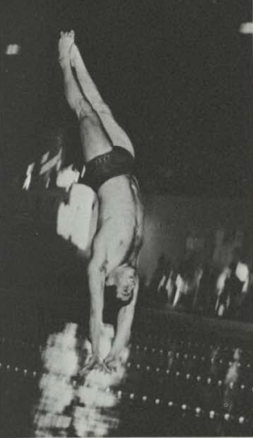 Ron Mustain diving