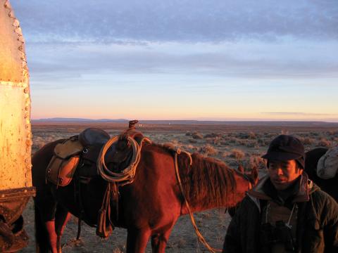 Sheepherder with horse